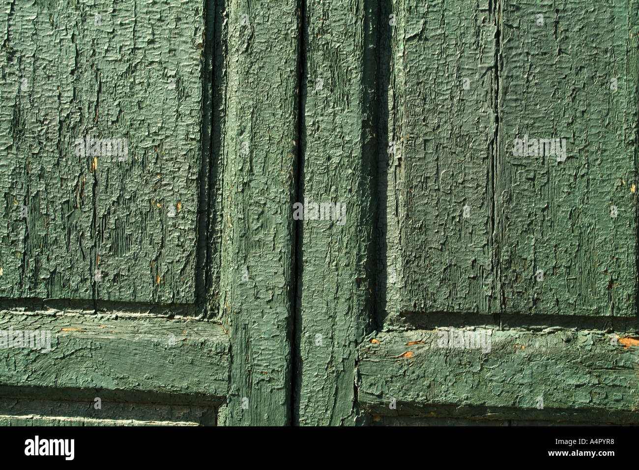 blistering green paintwork on old wooden doors Stock Photo Alamy