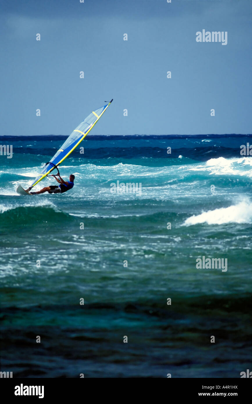 Windsurfing on Oahu s North Shore Stock Photo Alamy