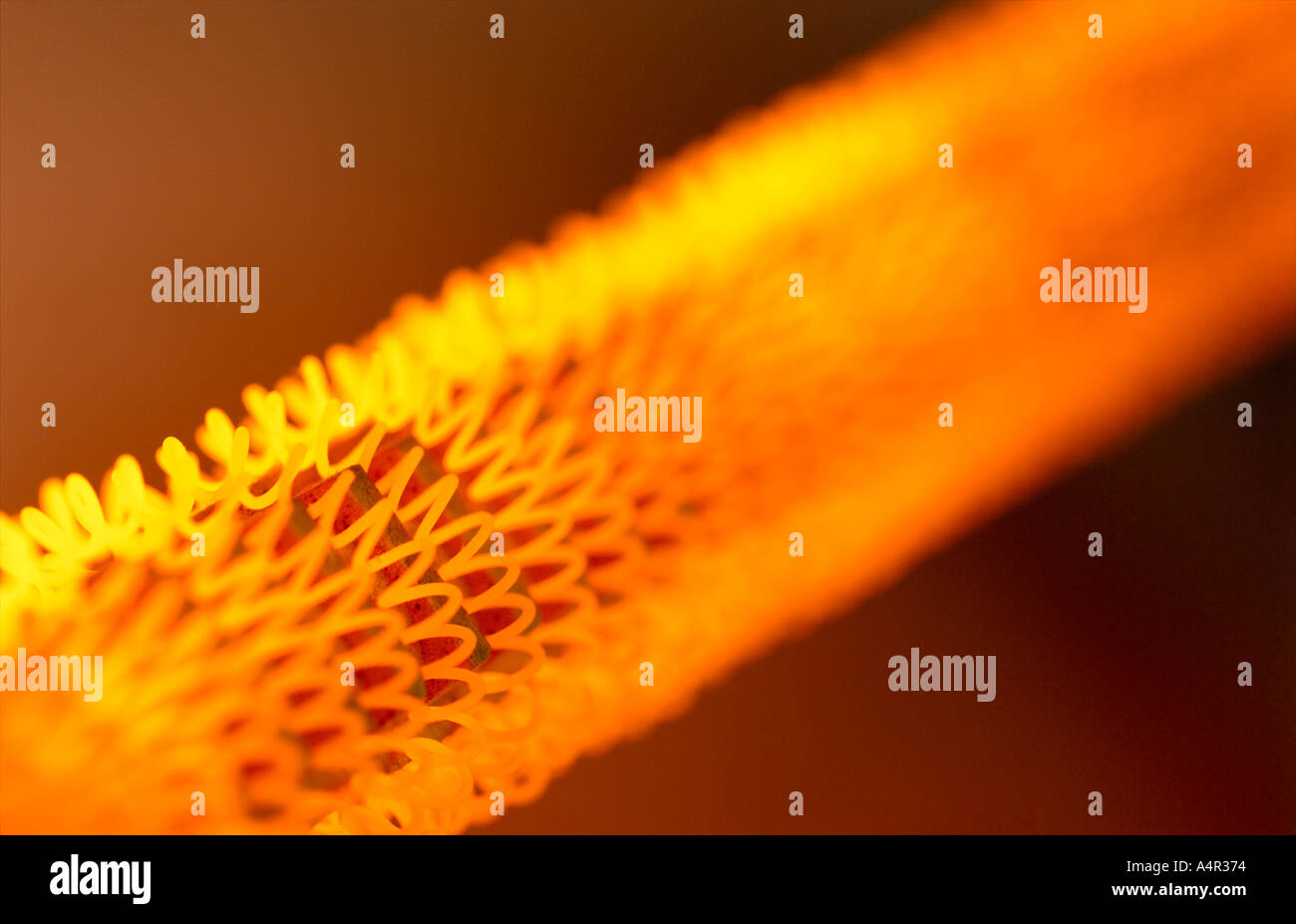 Heating element hires stock photography and images Alamy