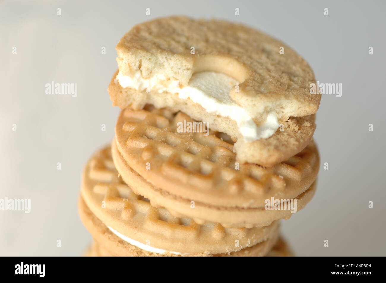 Circle Cookies Stock Photo Alamy