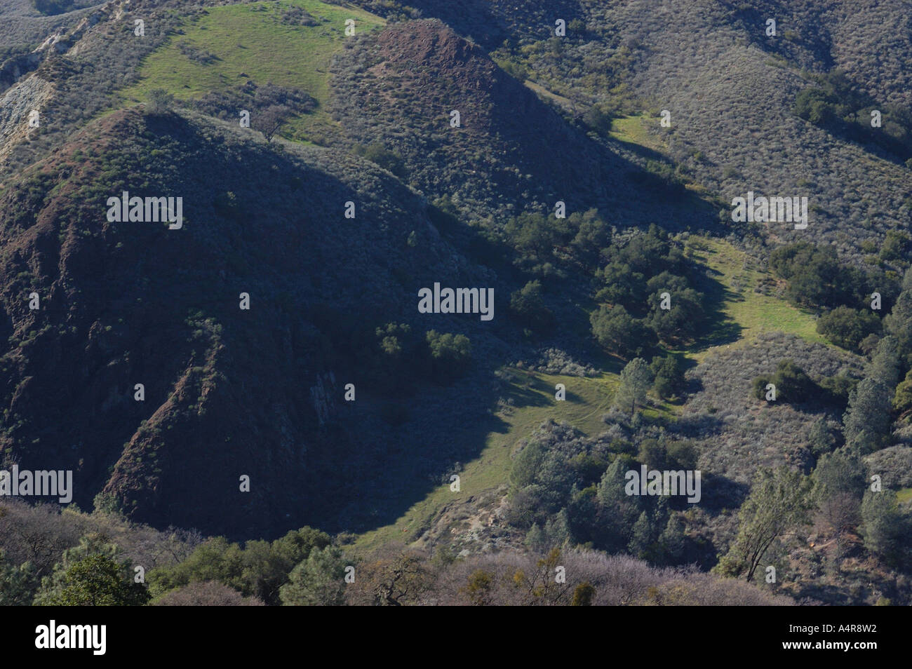Los Padres National Forest Stock Photo Alamy