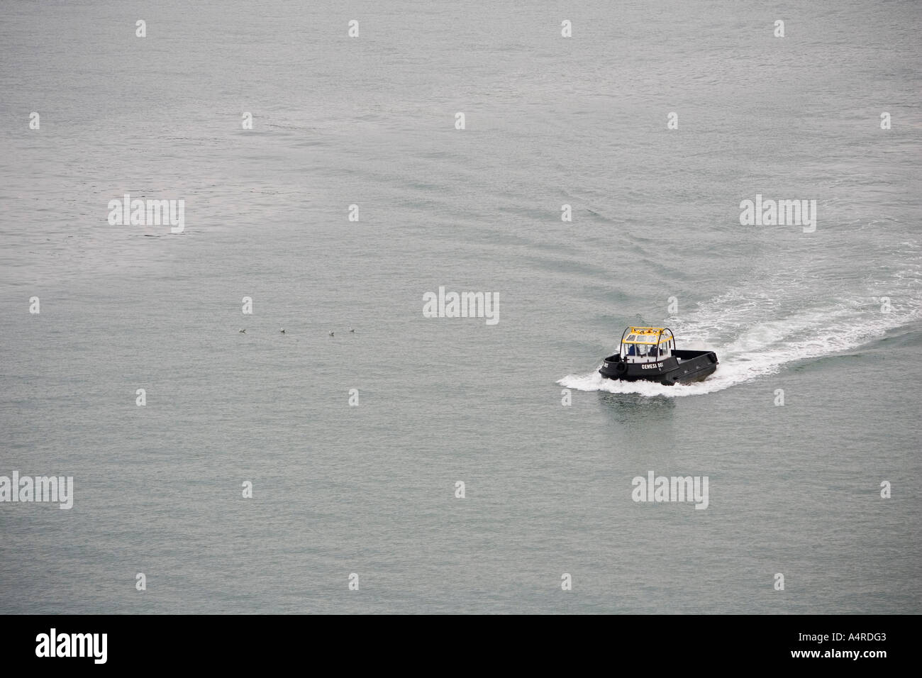 Model boat speed day hi-res stock photography and images - Alamy