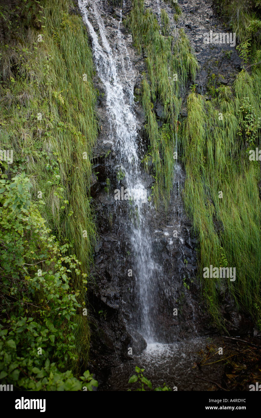 Seixal Waterfall, Madeira Stock Photo