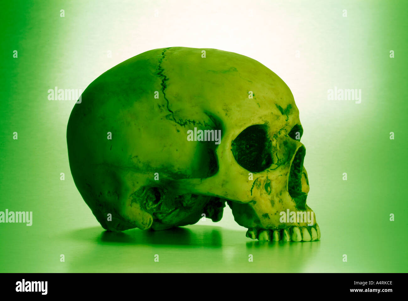 death s head skull Totenkopf Schädel Stock Photo