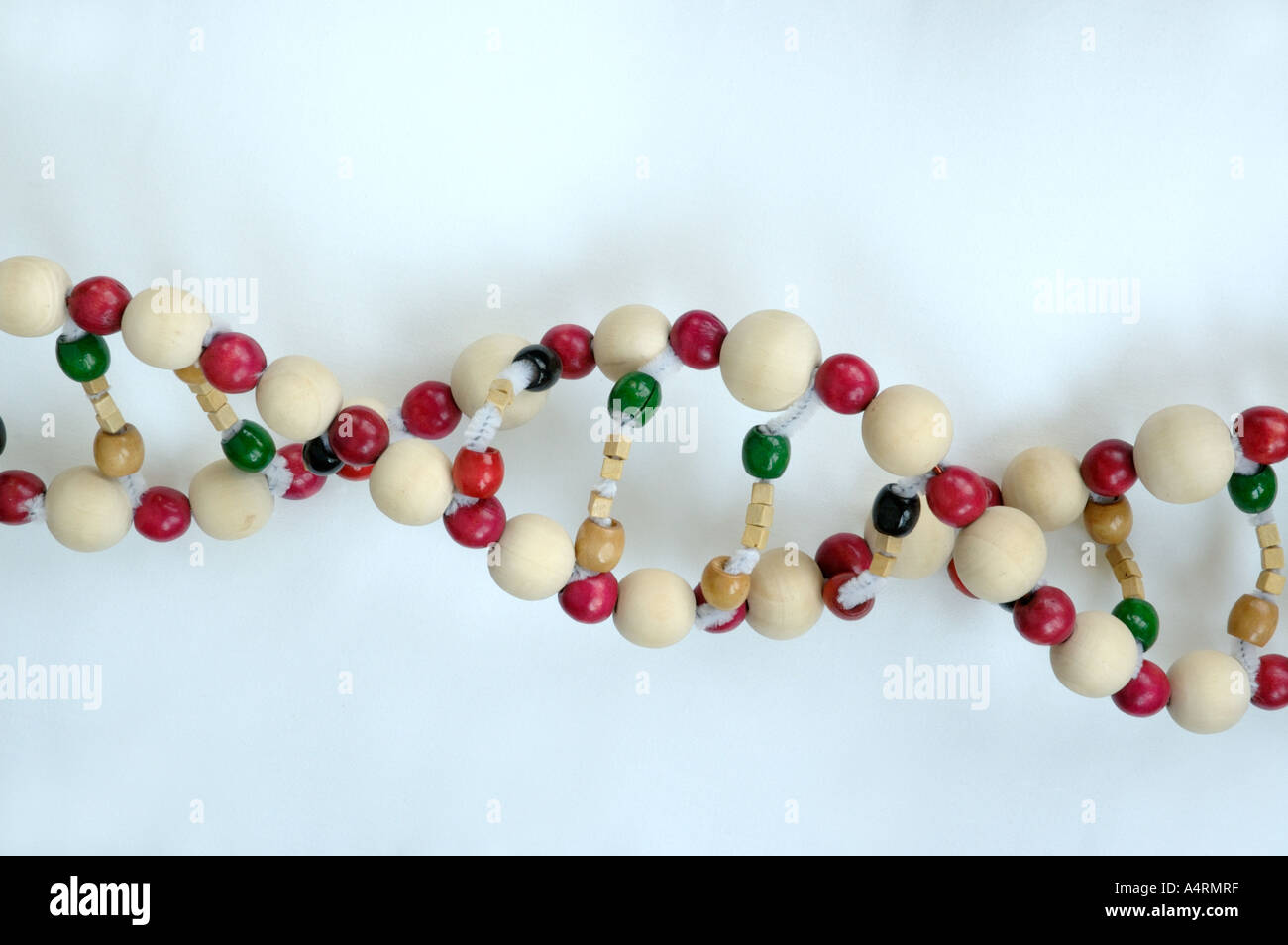 DNA double helix model made of beads Stock Photo