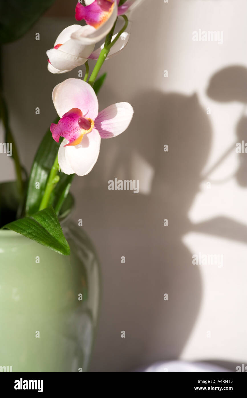Vase of pink orchids hi-res stock photography and images - Alamy