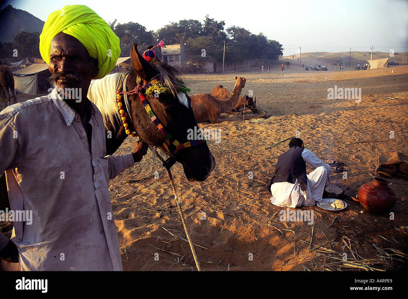 Horse trader hires stock photography and images Alamy