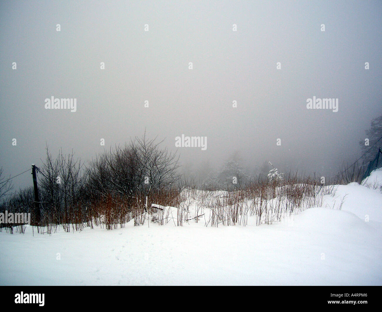 White out, Mt Floyen, Bergen, Norway, Scandinavia, Europe Stock Photo