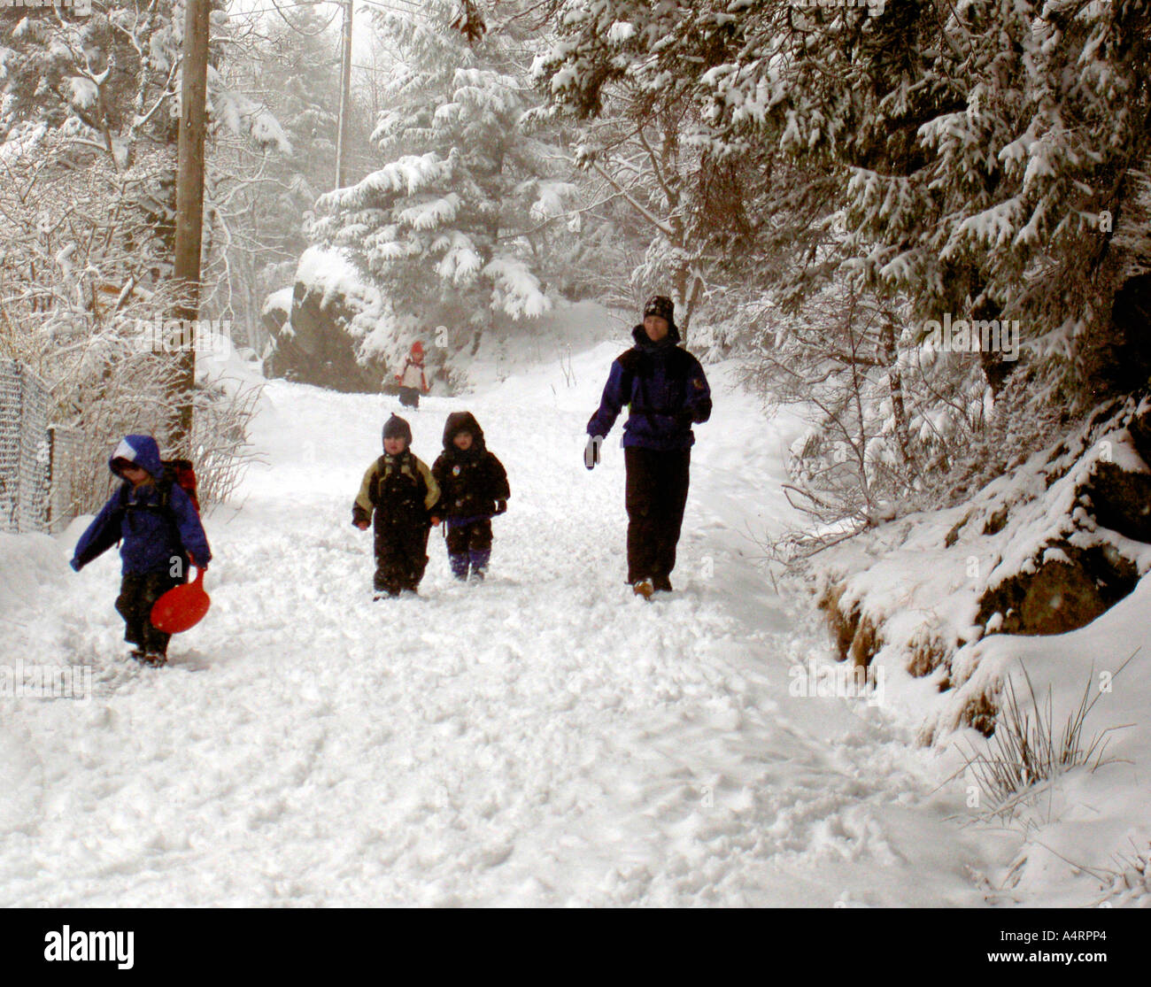 Children walking to school in the snow, Mt Floyen, Bergen, Norway Stock