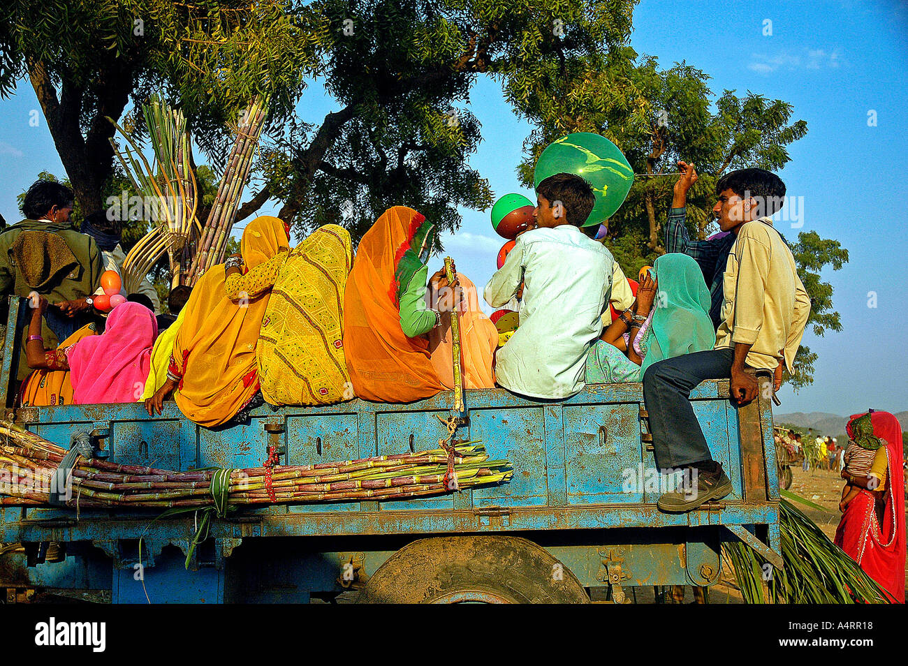 SUB98570 villagers on a tractor going to the fair Pushkar Rajasthan India Stock Photo