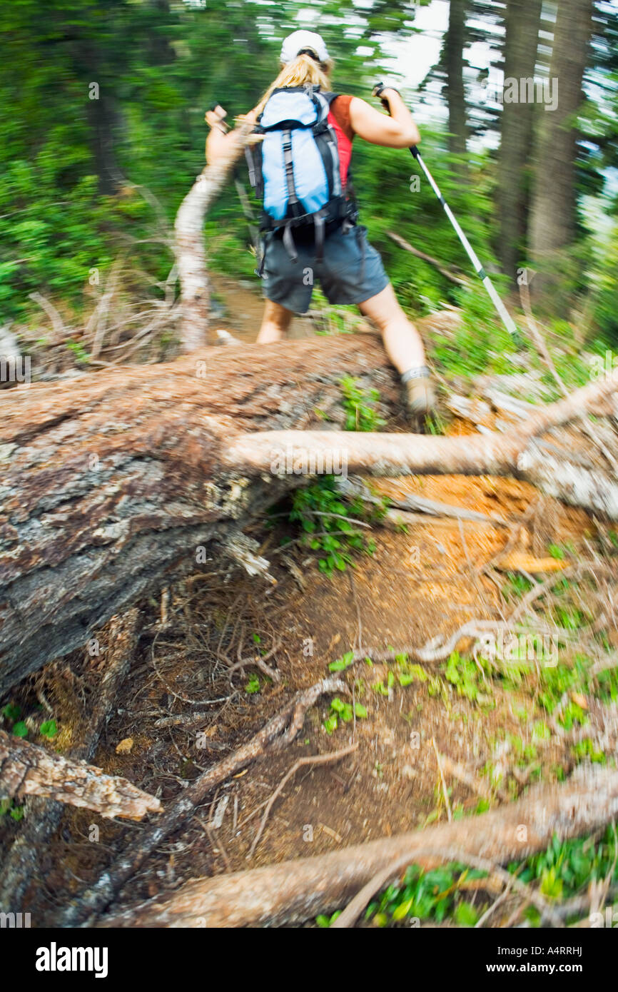 Female hiker stepping over fallen tree, Pacific Northwest Stock Photo