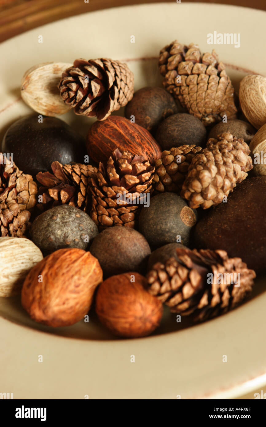 bowl of nuts and pine cones Stock Photo