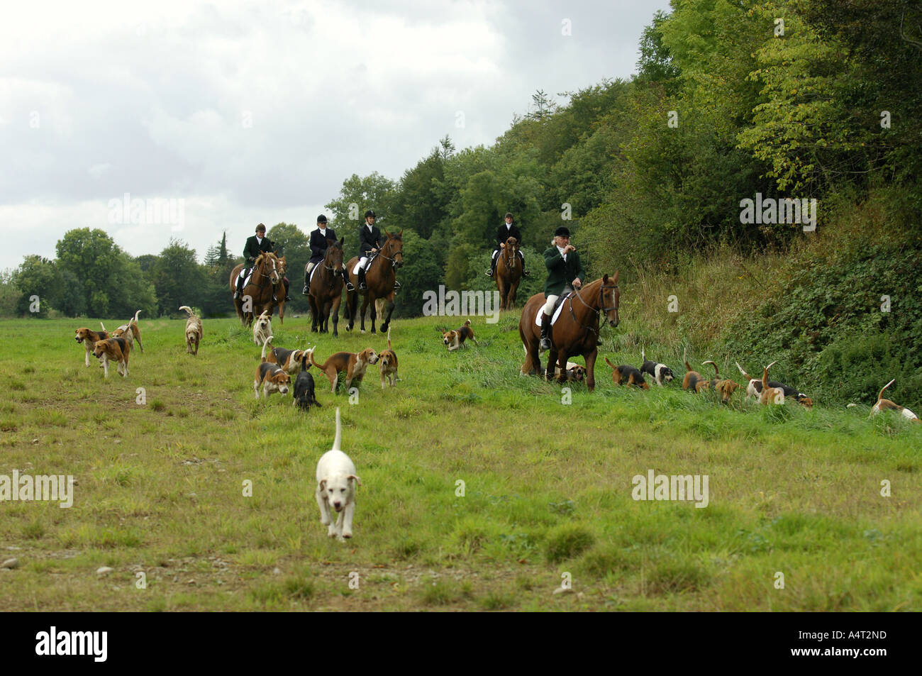 Hunting in Ireland Stock Photo Alamy
