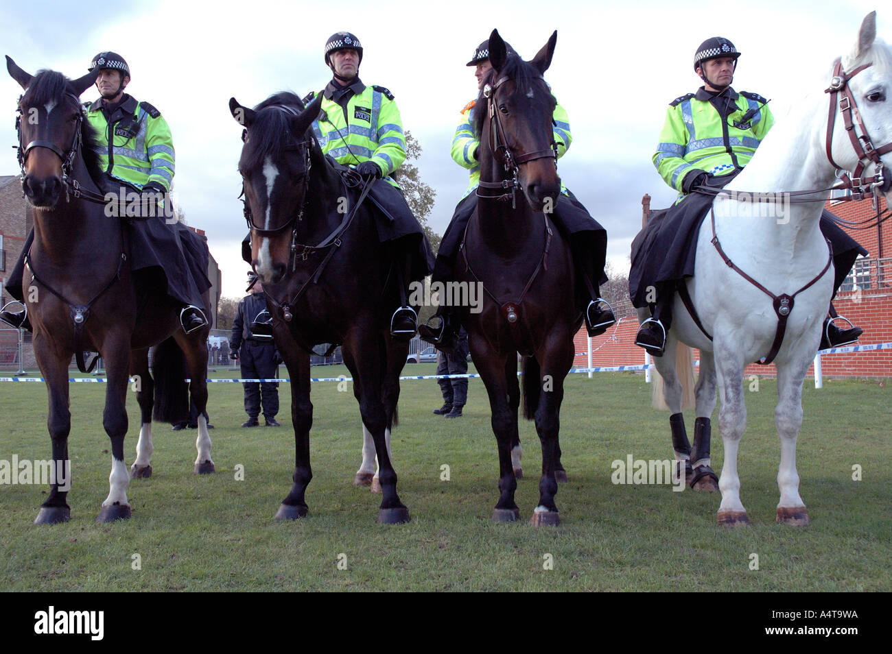 Line of mounted police surrounding the eviction site at St Agnes Place Kennington South London. Stock Photo