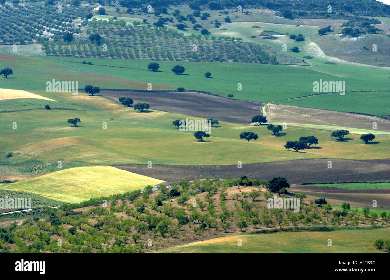 fields in spain Stock Photo Alamy