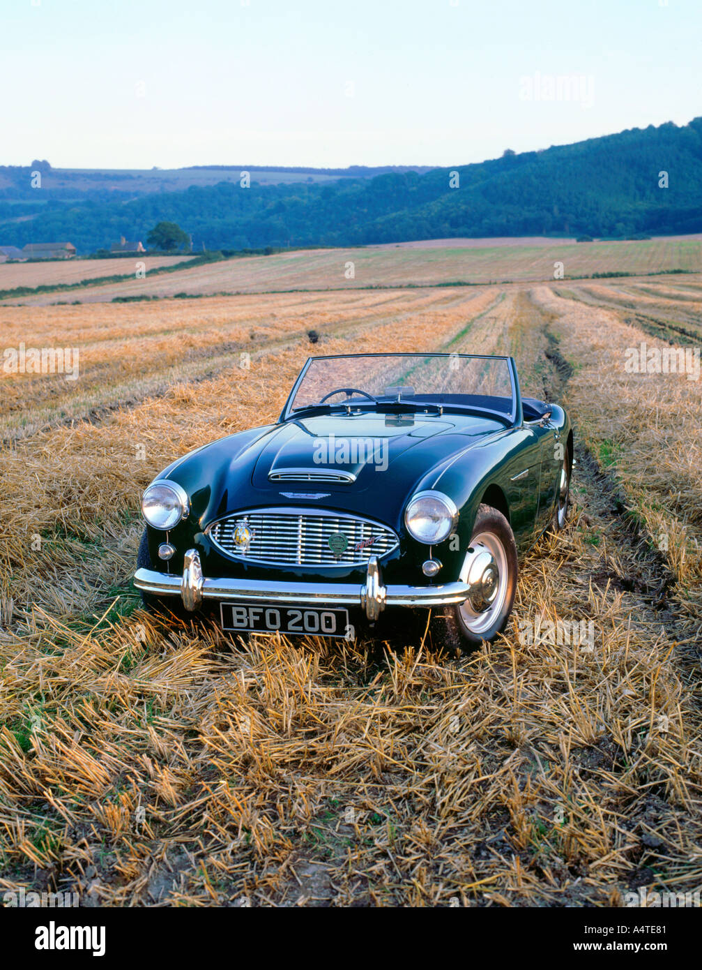 1961 AUSTIN HEALEY MK1 visual data 8