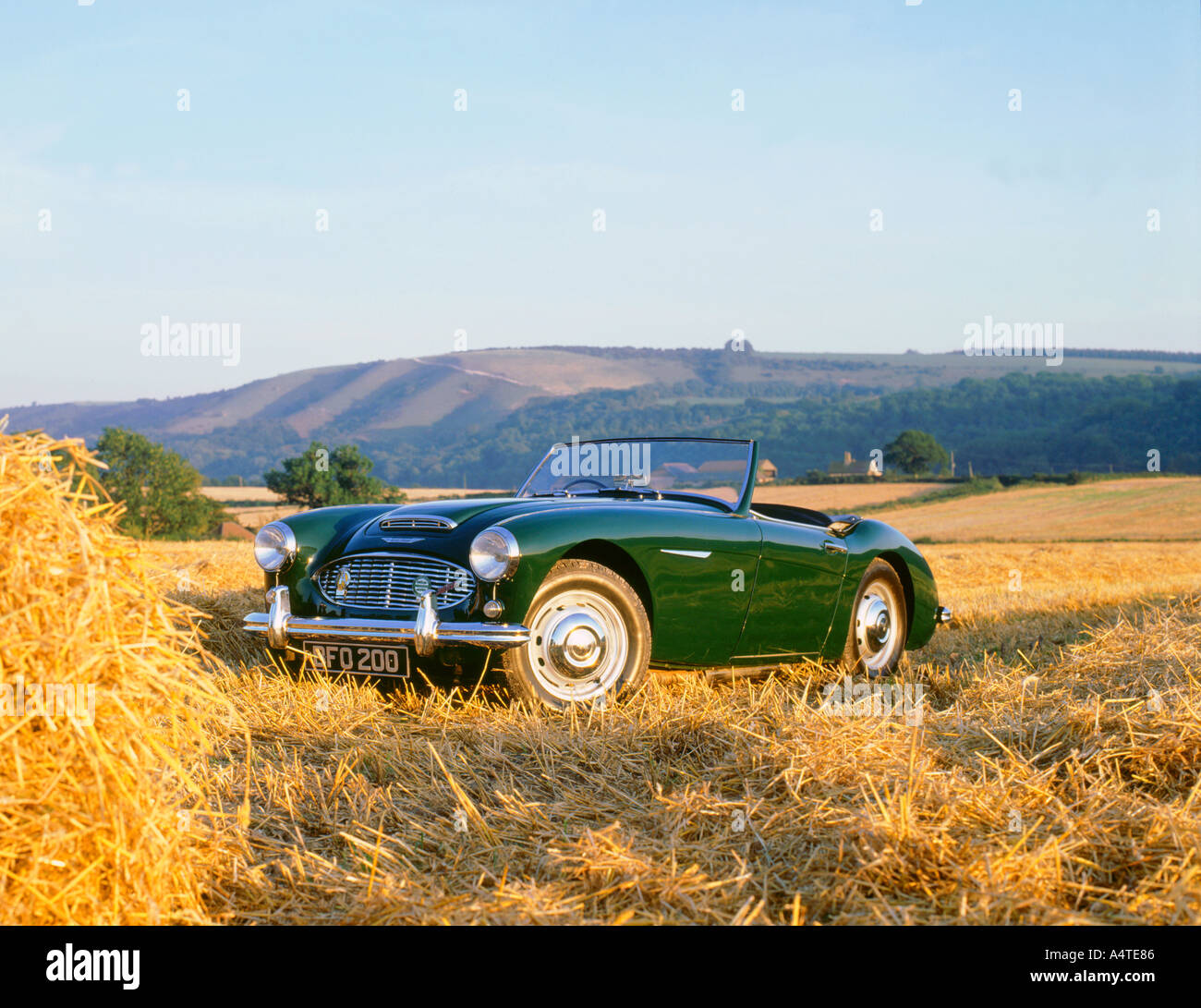 Austin Healey Hi Res Stock Photography And Images Alamy