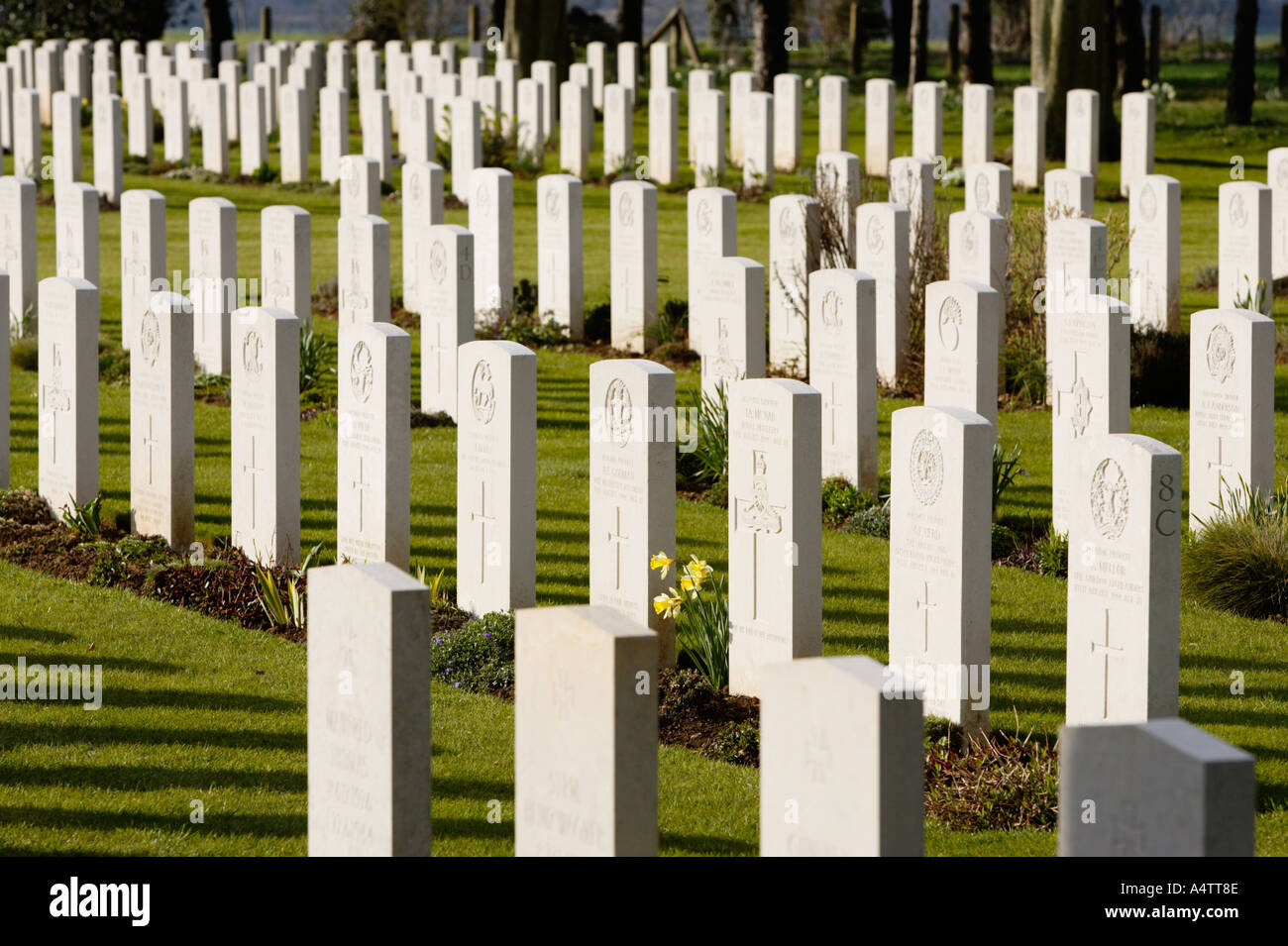 Rows of headstones at the Ryes British war cemetery - World War 2 - in Normandy, France Stock Photo