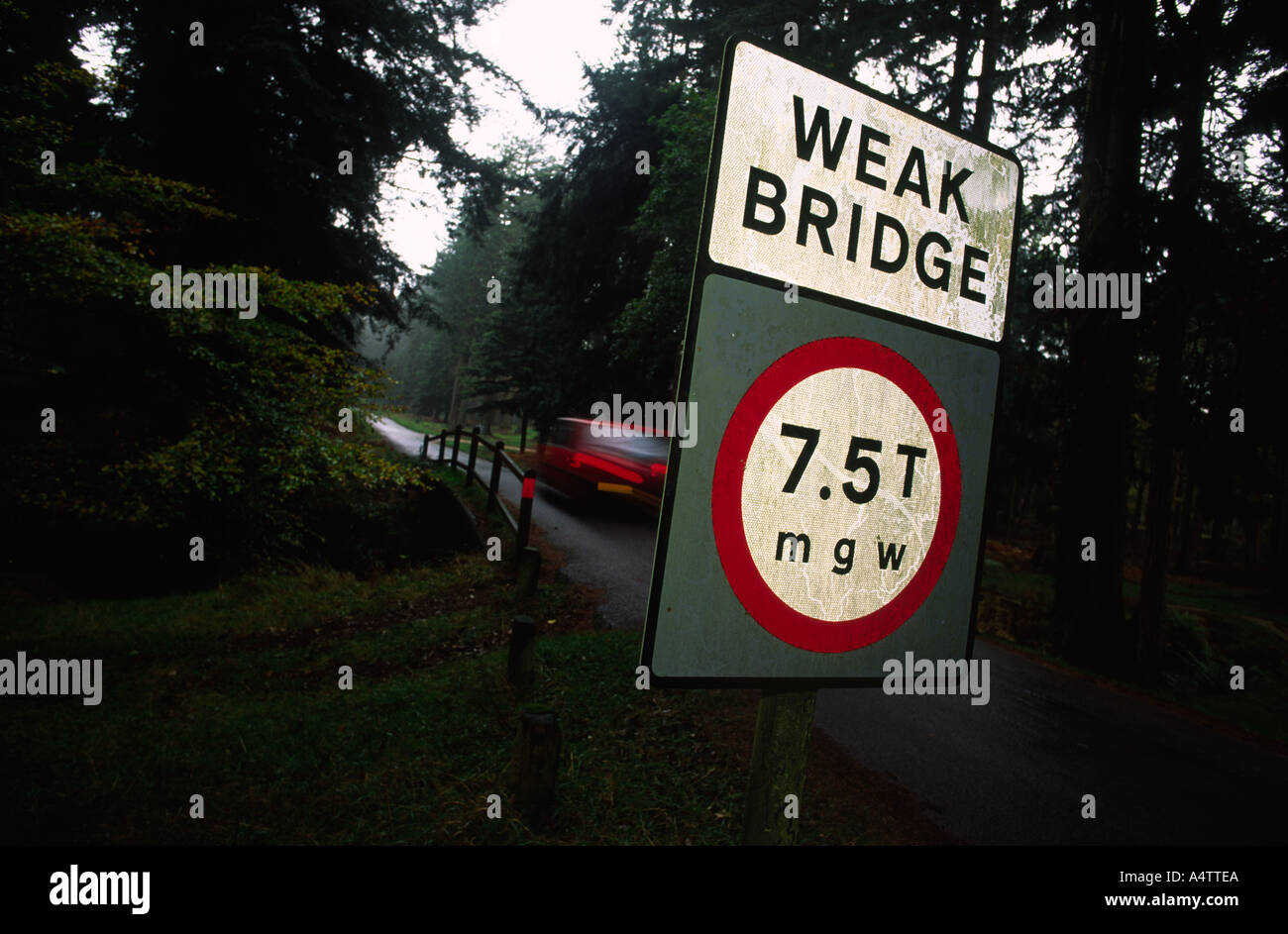 Weak bridge in the New Forest in Hampshire county England UK Stock Photo