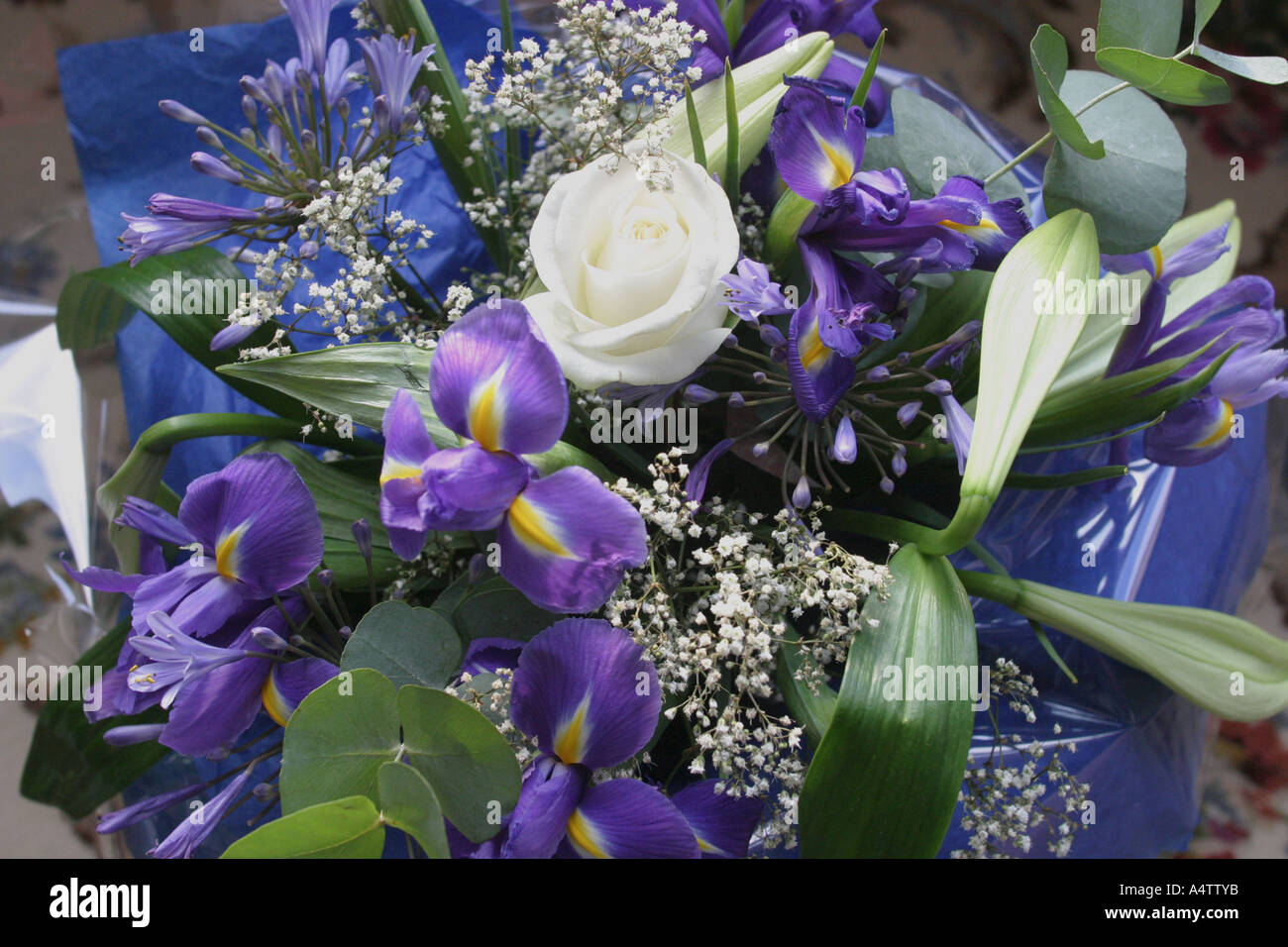 bouquet of Blue and white flowers close up Stock Photo