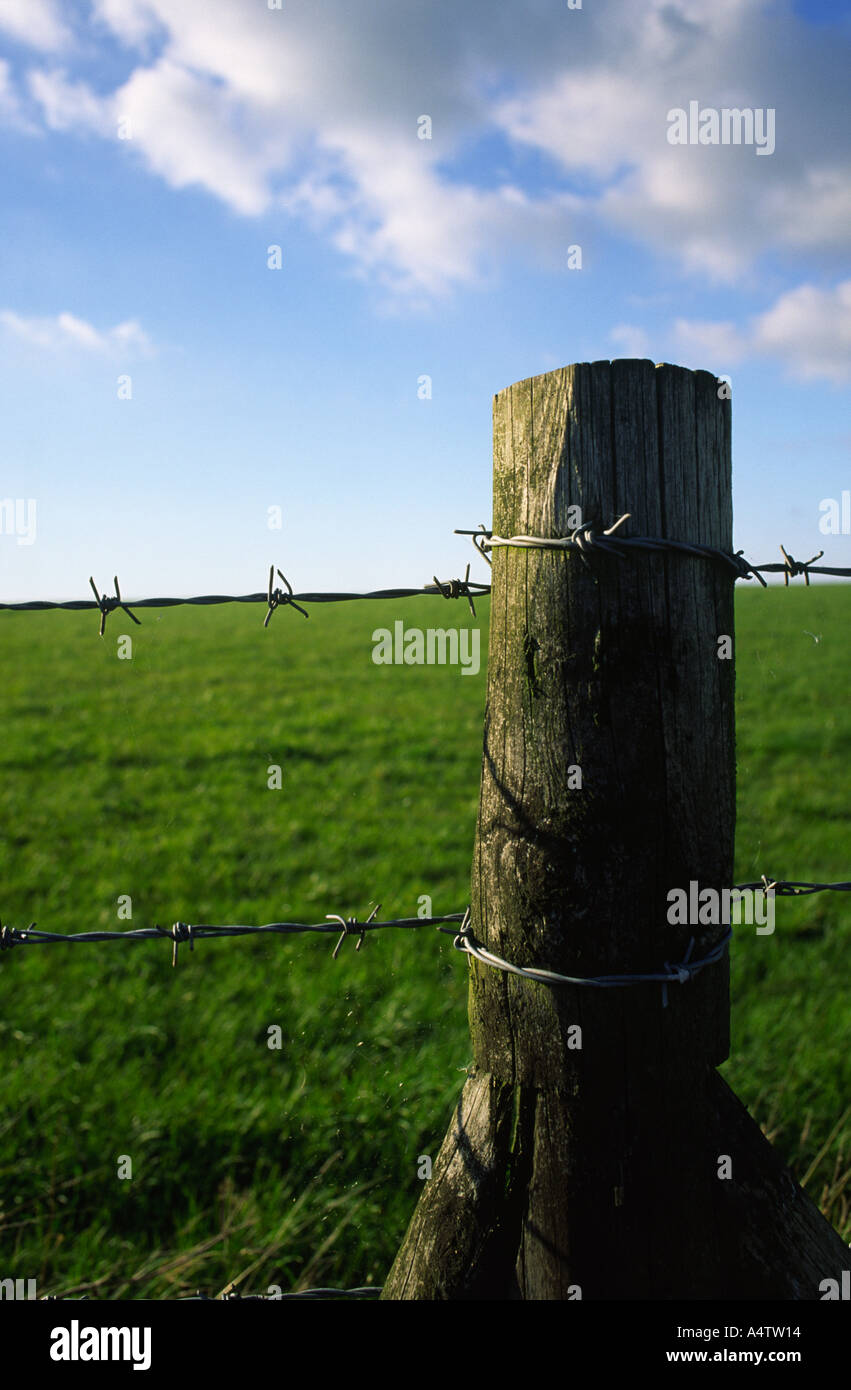 Field boundary fence taken near Sydling St Nicholas village in North Dorset county England UK Stock Photo