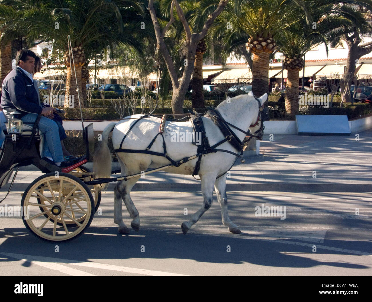 Pony trap in a shady street hires stock photography and images Alamy