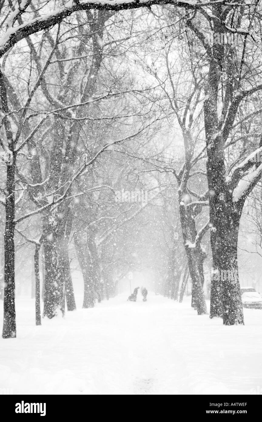 A family walking in a snow storm Stock Photo