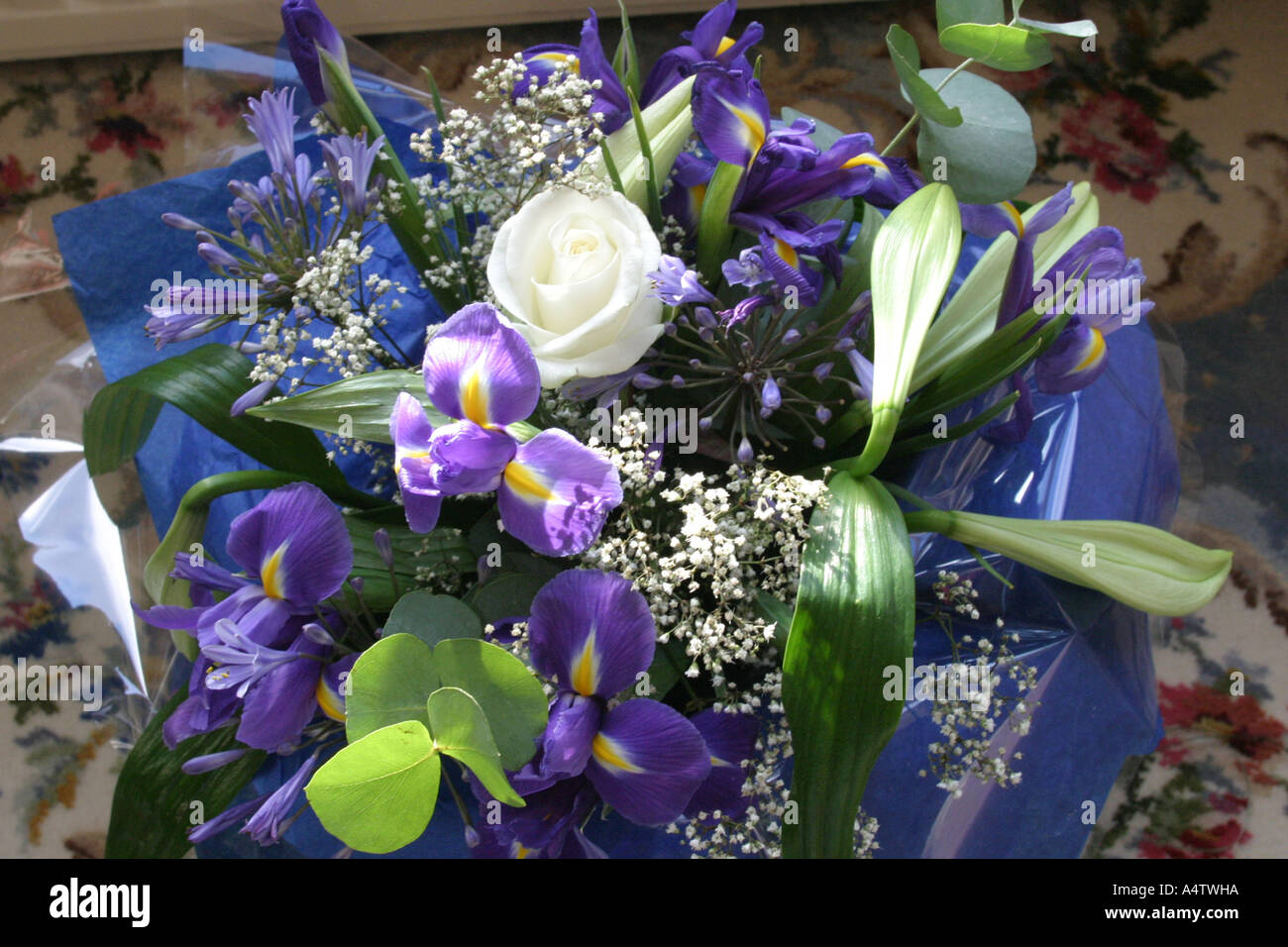bouquet of Blue and white flowers close up Stock Photo