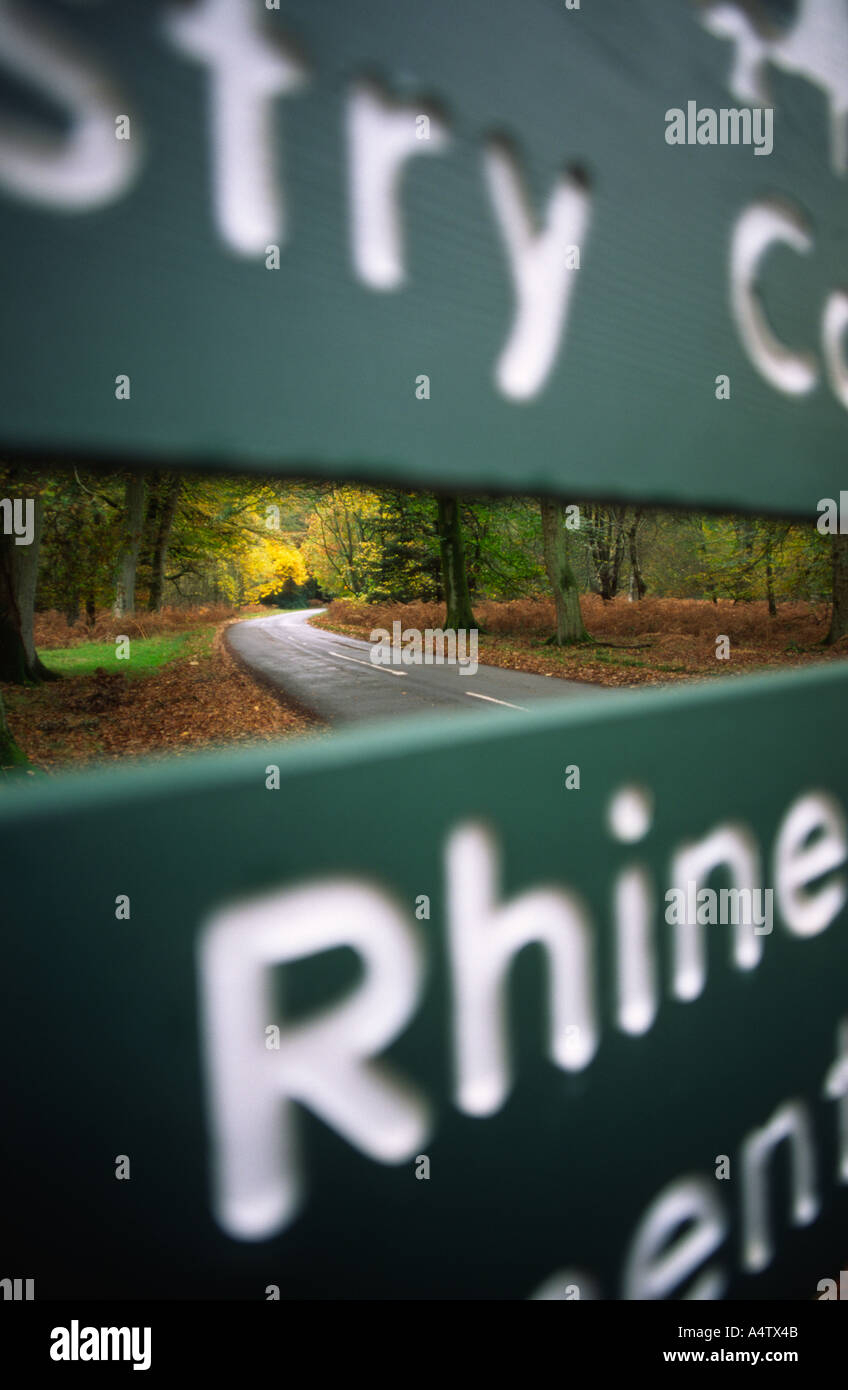 The New Forest in Hampshire county is maintained by the Forestry