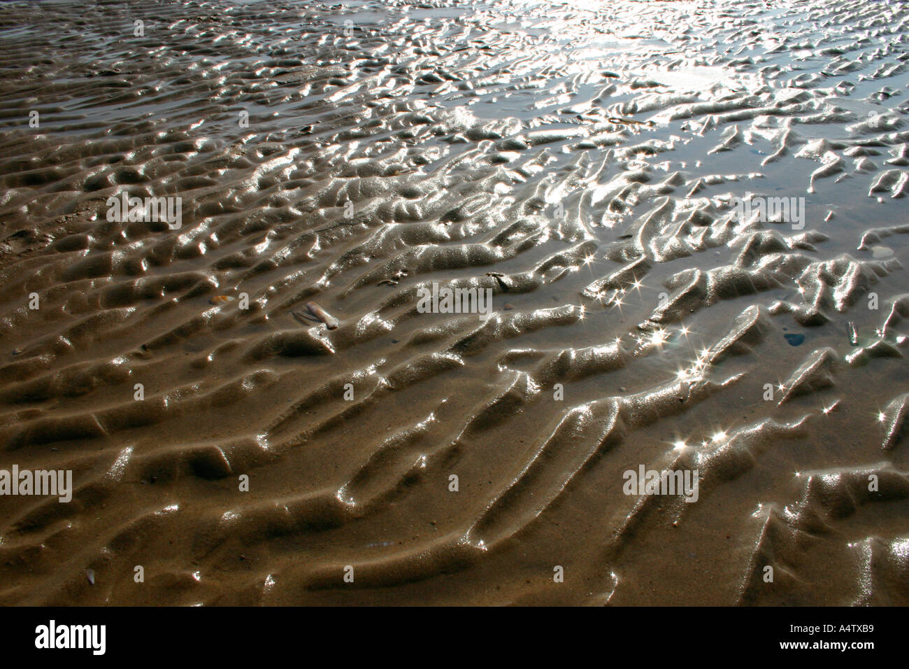 Wet sand ripples Stock Photo