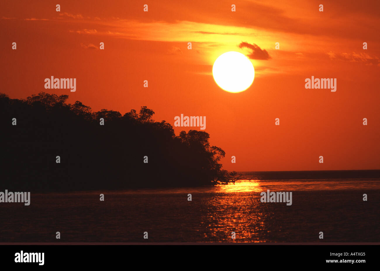 Everglades National Park Stock Photo - Alamy