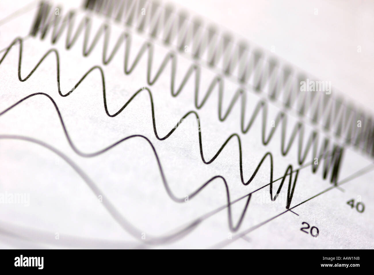 Plot of Chebyshev polynomials in mathematics Stock Photo - Alamy