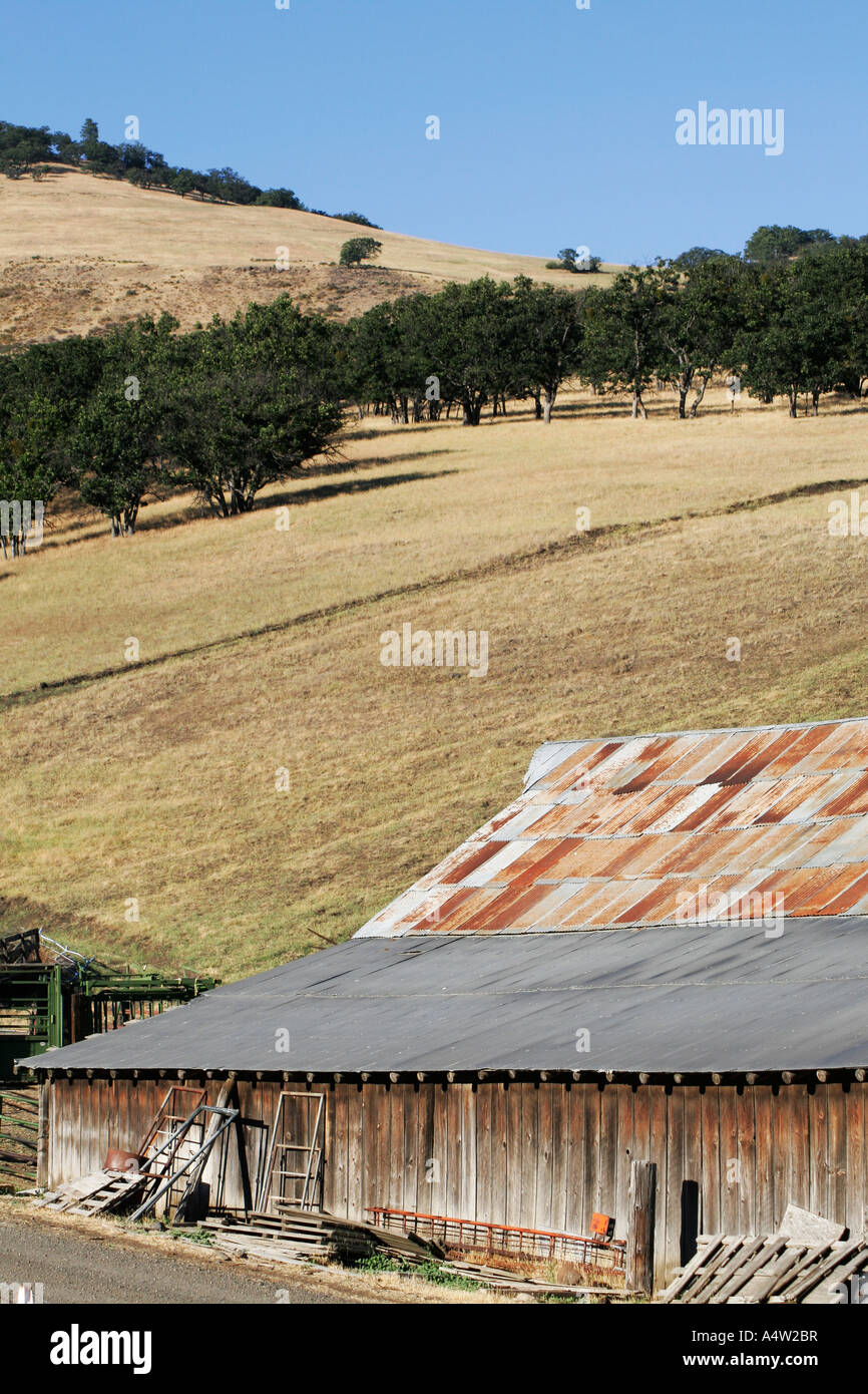 Old Barn with tin roof in field with trees Stock Photo Alamy