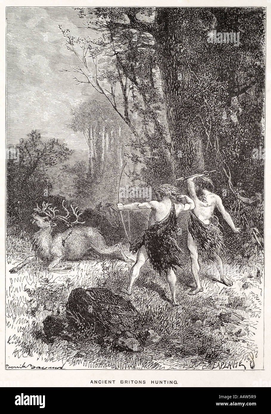 hunter gatherer spear