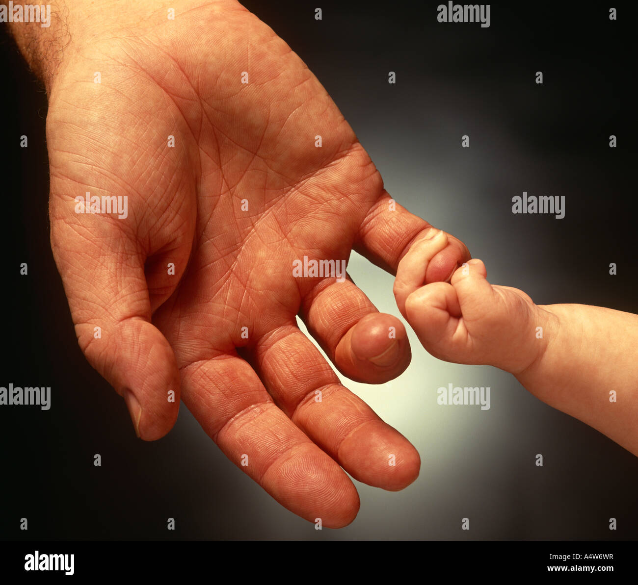 Father and baby holding hands, inside Stock Photo