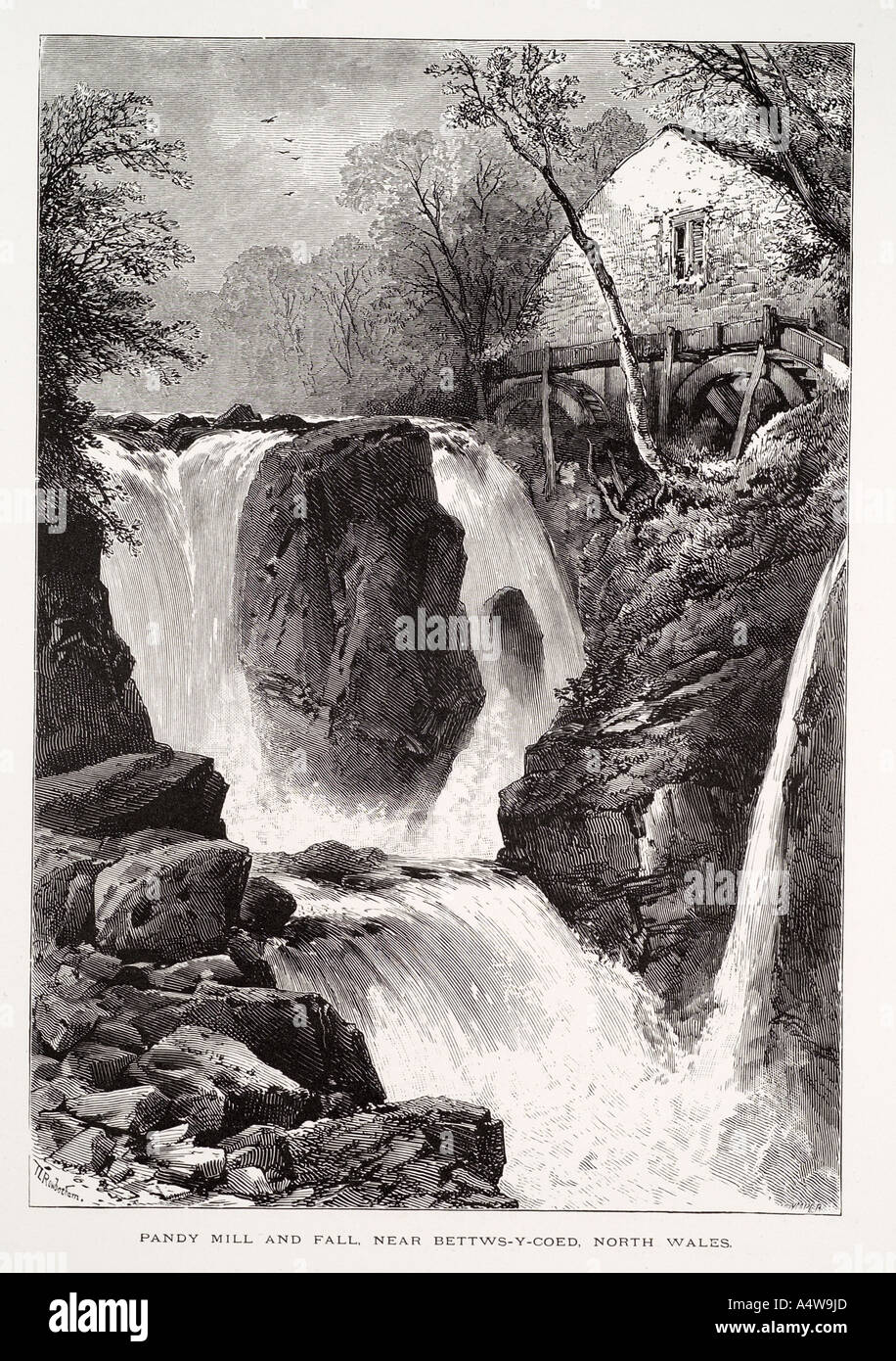 pandy mill fall Bets Y Coed North Wales Gwynedd Waterfall Trees river water valley gush torrent flow fresh bank stone rock UK GB Stock Photo