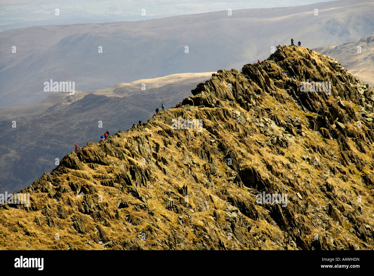 Walkers on Striding Edge, Helvellyn. Lake District National Park ...