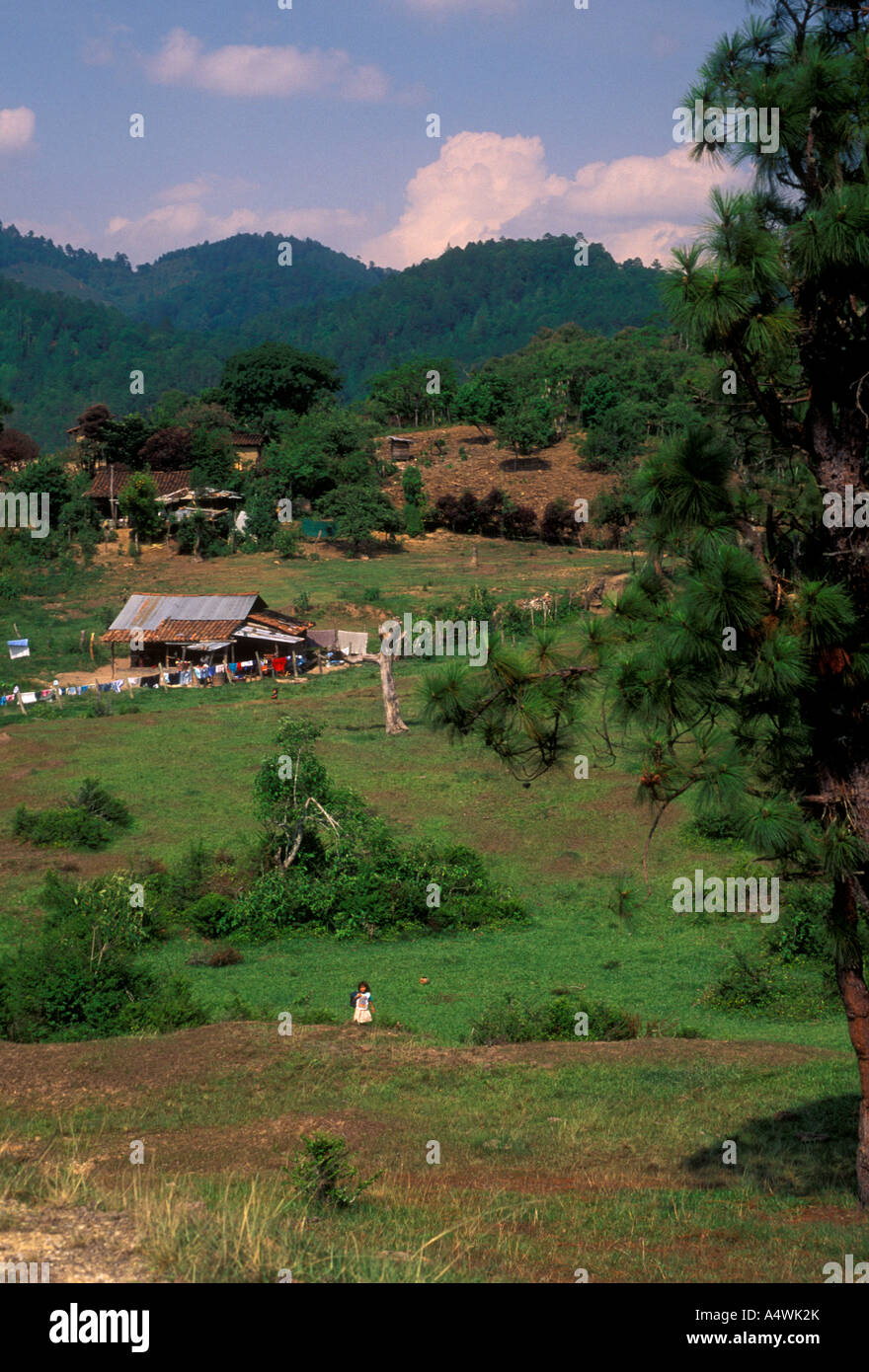 family home, home, house, farm, farmstead, farmland, cropland, Salama