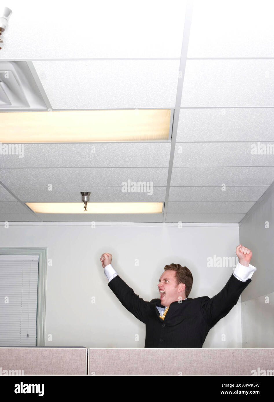 Businessman raises his arms in the cubicle and shouts for joy with his ...