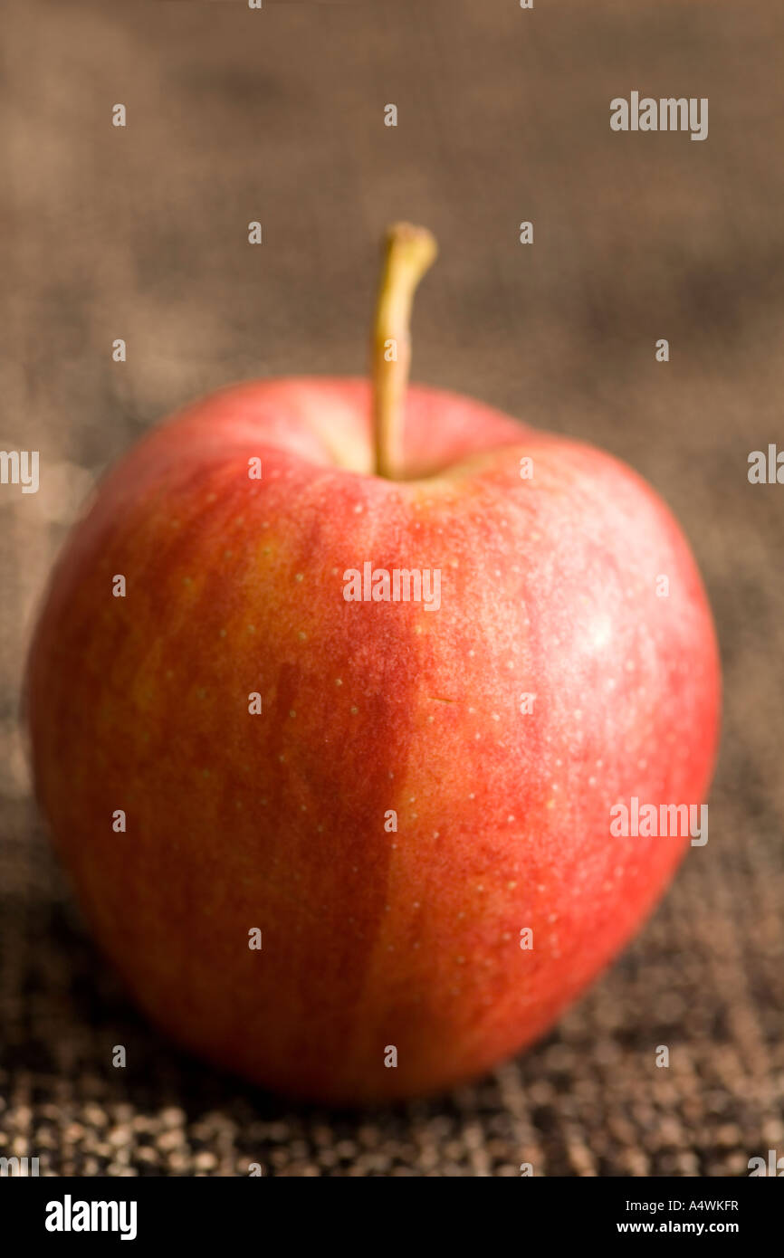 Apple Stock Photo