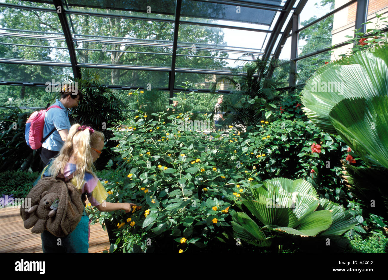 Wilhelma zoological botanical garden stuttgart hi-res stock photography ...