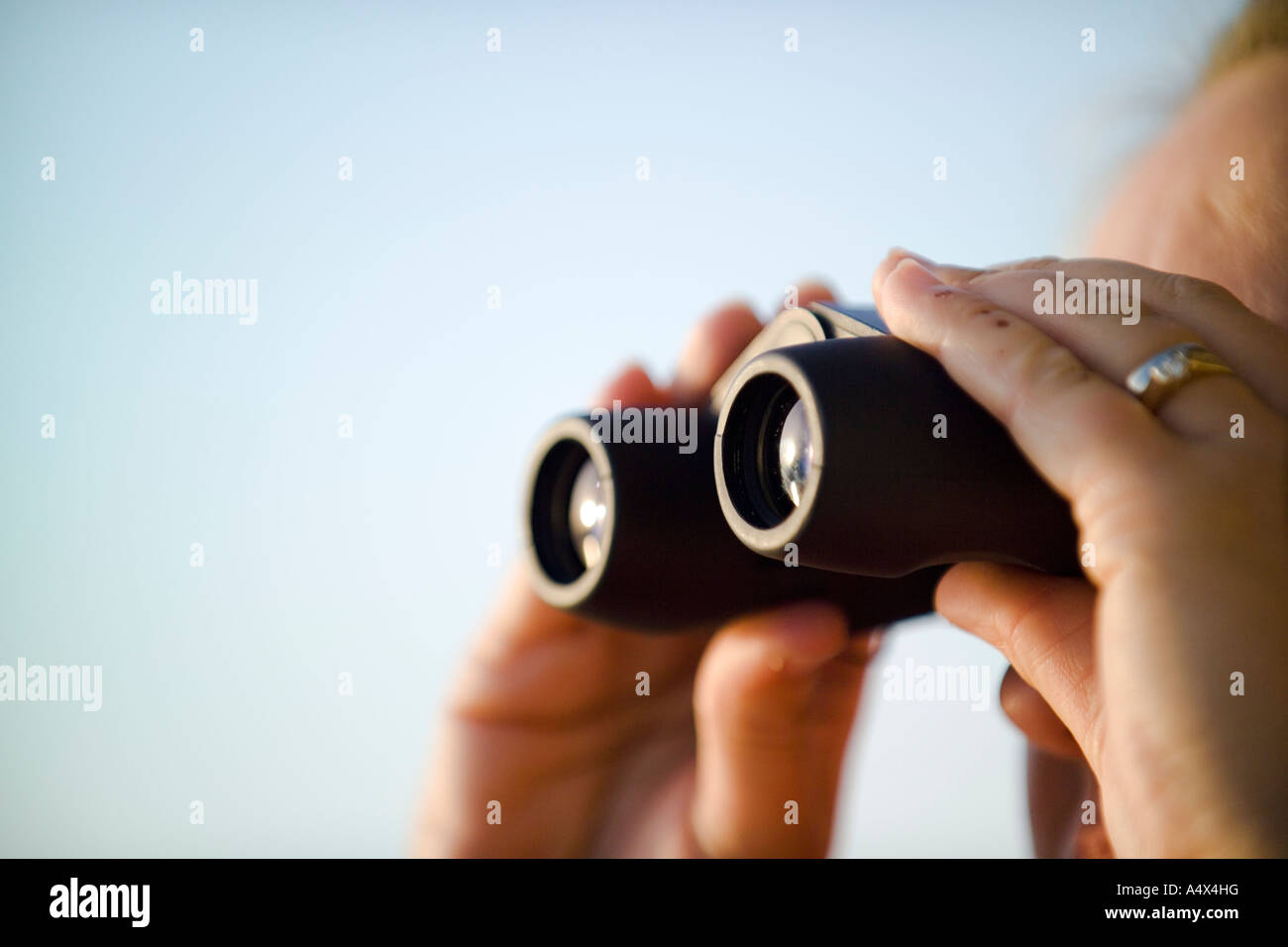 Birder looking through binoculars Stock Photo
