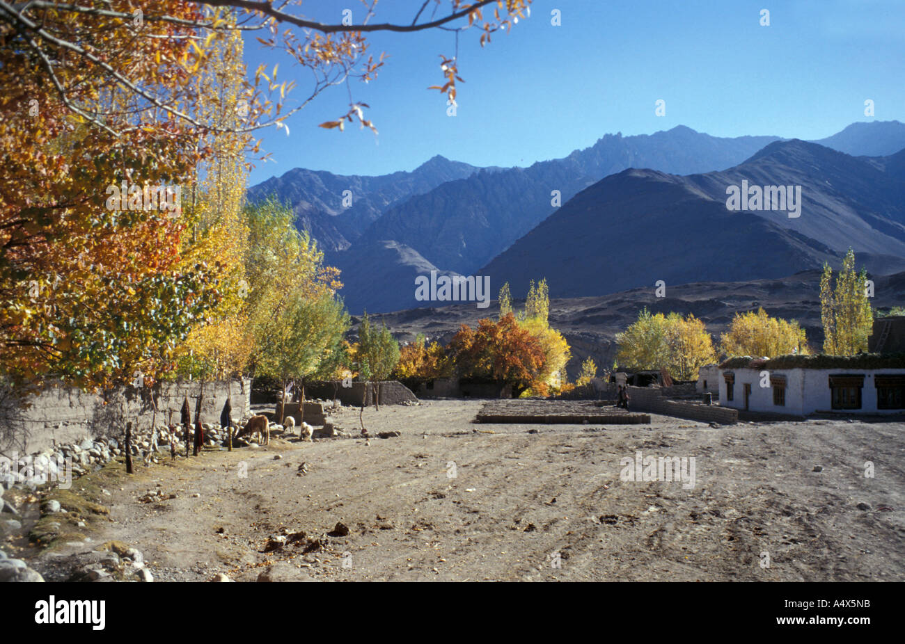 Tilled fields Leh Ladakh Stock Photo Alamy Tilled fields Leh Ladakh Stock Photo Alamy