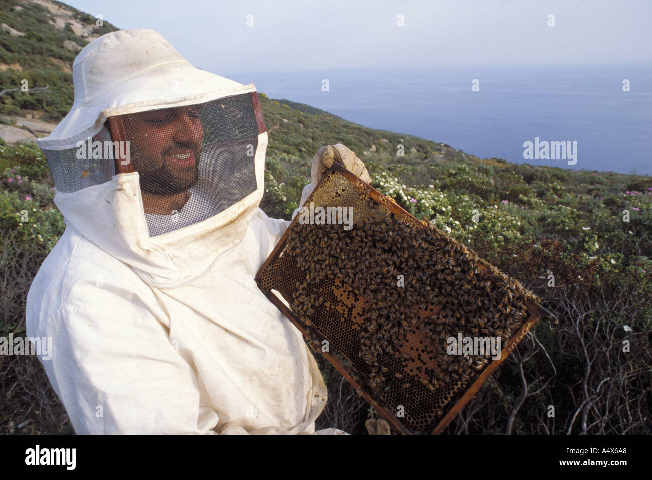 Anichini hires stock photography and images Alamy