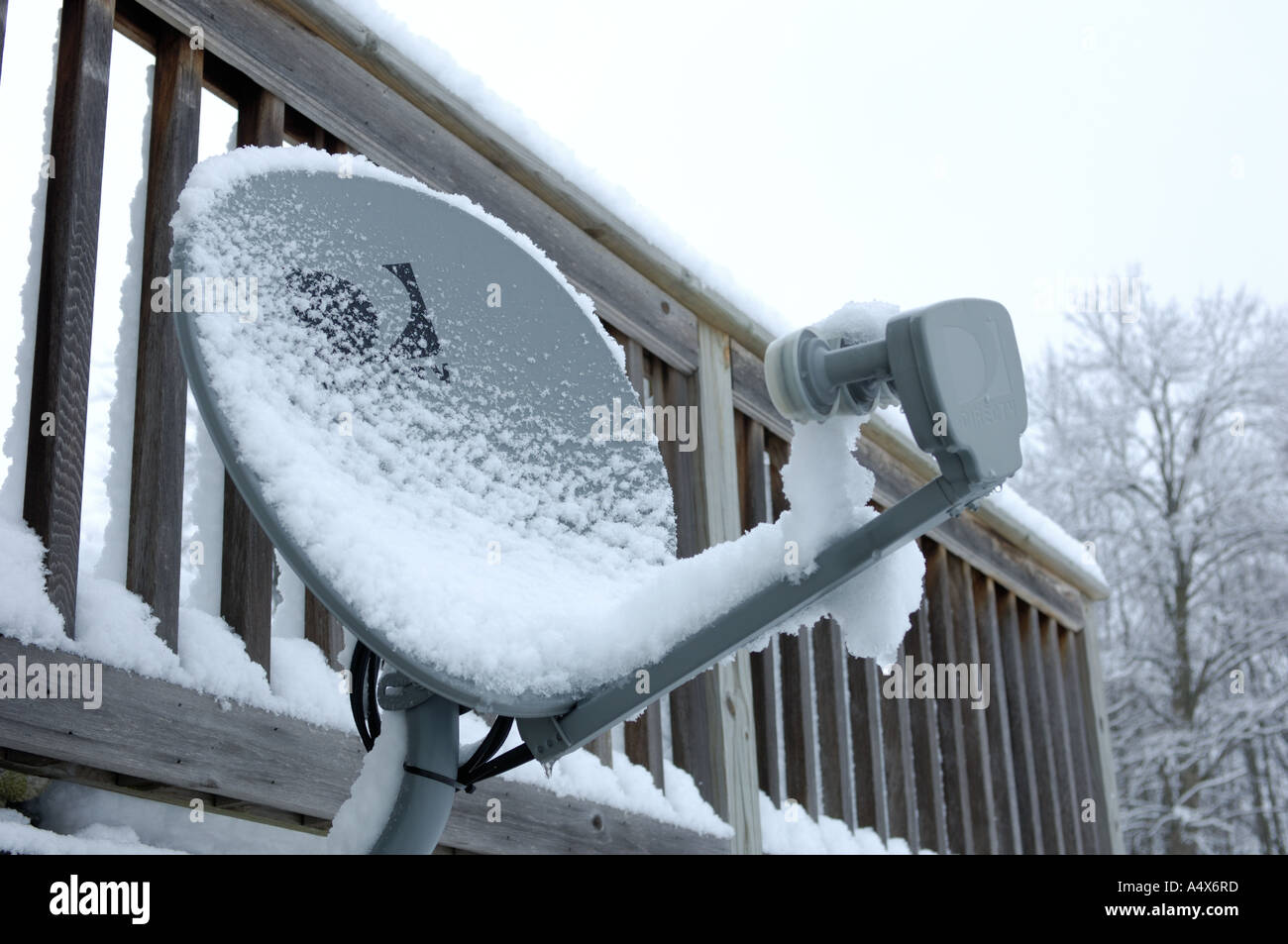 small television satellite dish covered with snow Stock Photo Alamy