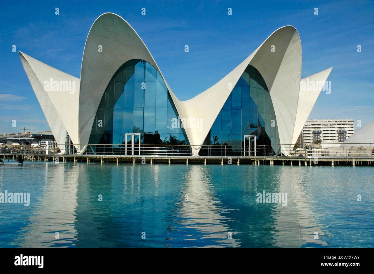 Aquarium, L`Oceanografic, City of arts and sciences, Ciudad de las Artes y  las Ciencias, Valencia, Spain Stock Photo - Alamy