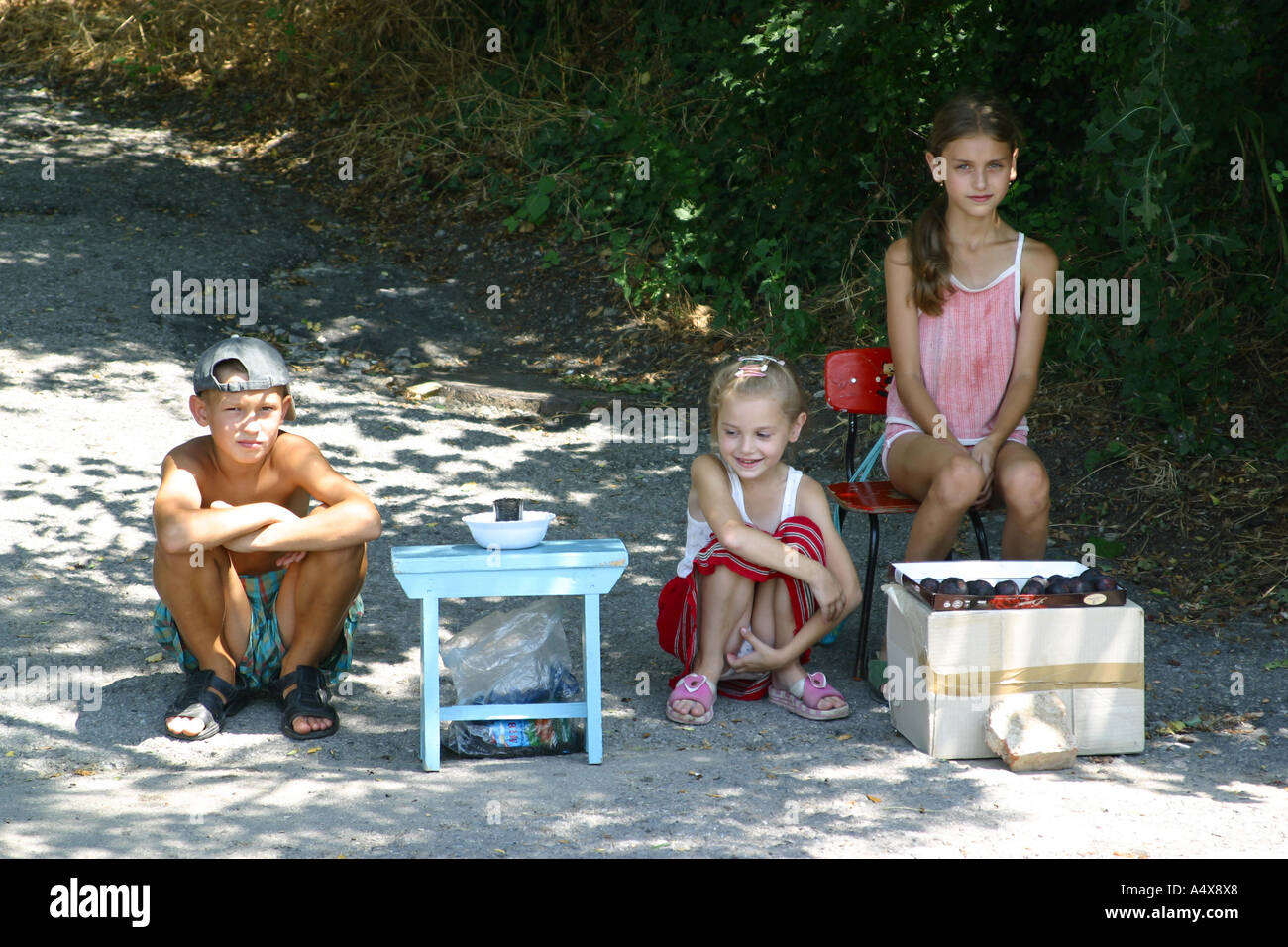 Teenagers sale plums on the street in Livadia, Crimea, Ukraine. Stock Photo