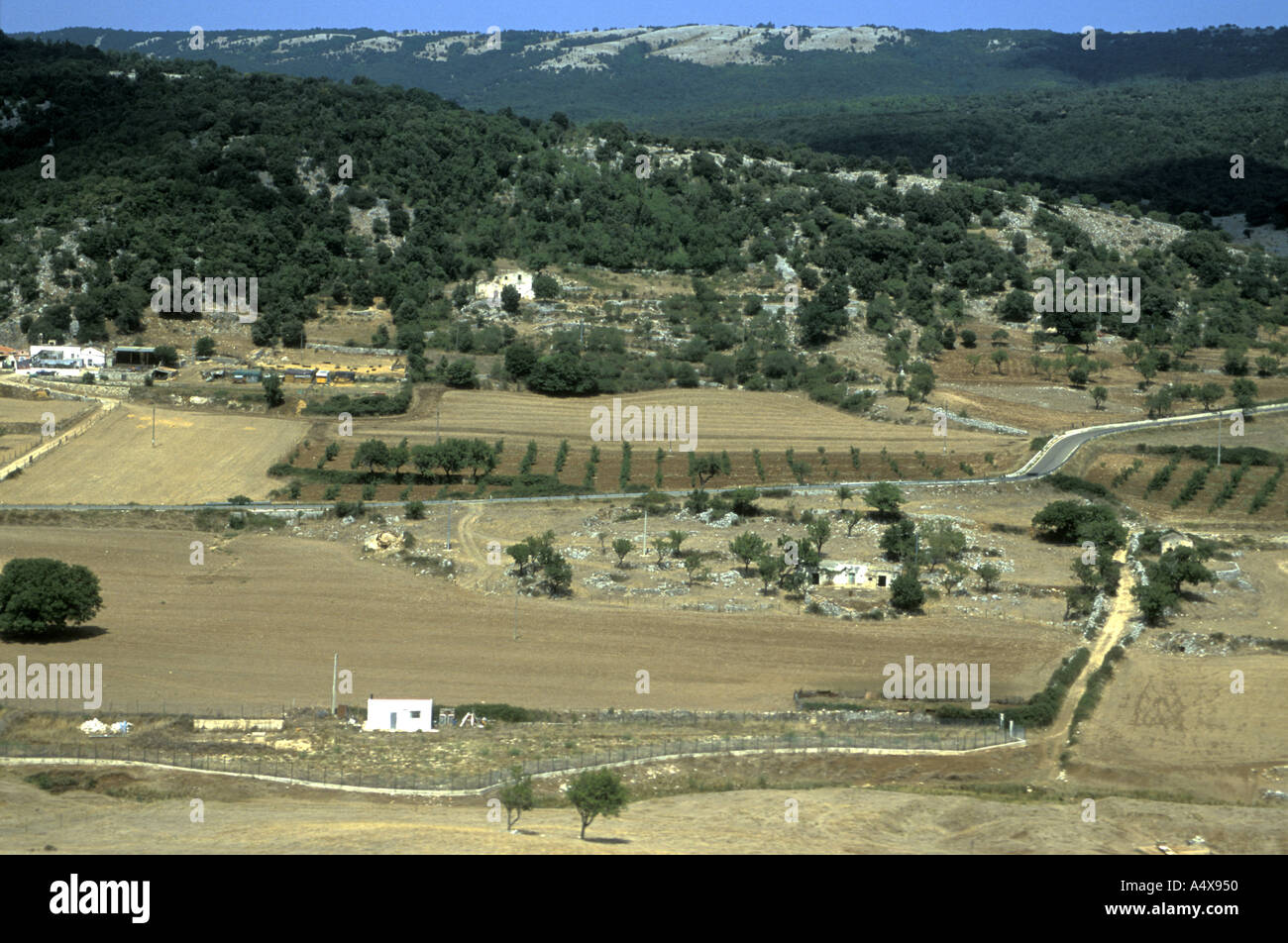 A cultivated area Stock Photo