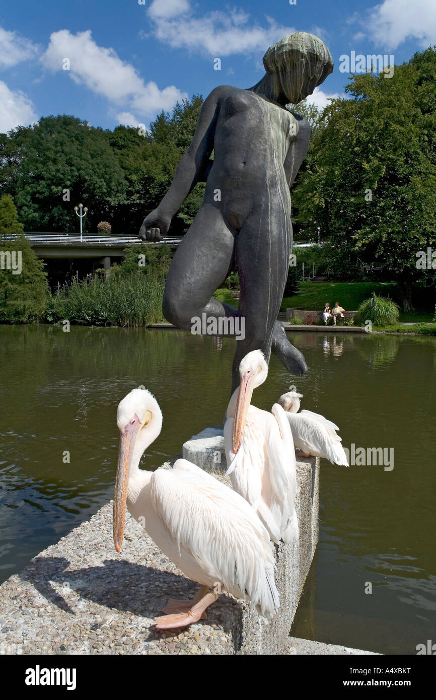 Pelicans in front of a sculpture by Georg Kolbe, Grugapark, Essen, NRW, Germany Stock Photo