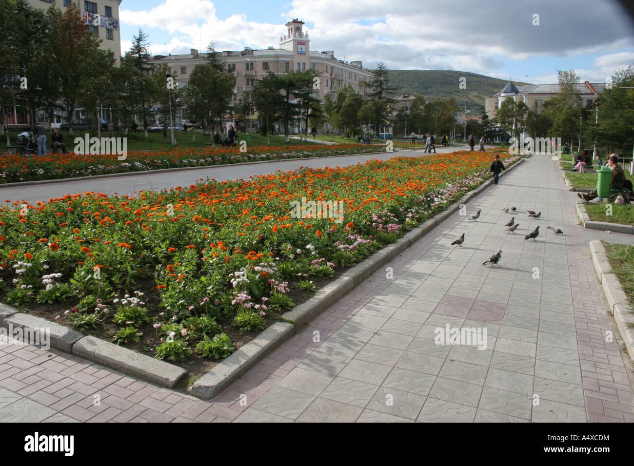 Recycling plant going to build in Magadan Recycling plant going to build in Magadan